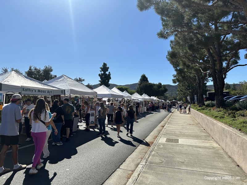 Thousand Oaks Street Fair