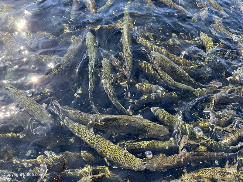 West Coast Outdoors and Sportfishing Expo 2026 – Ventura, CA