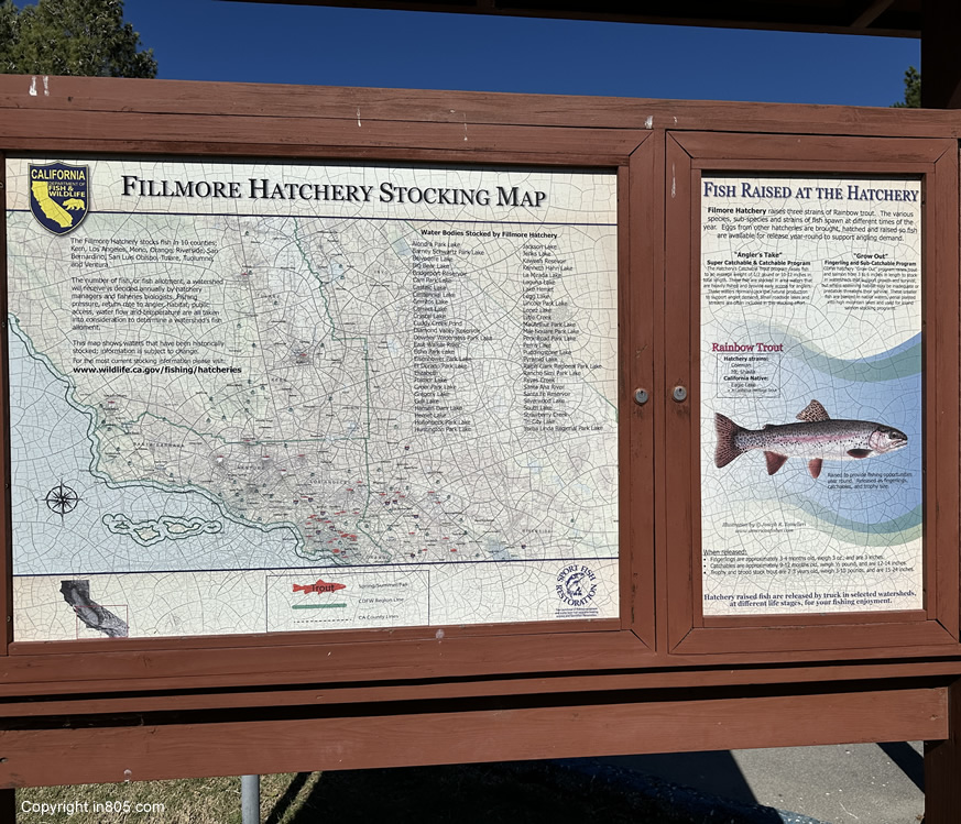Fillmore Fish Hatchery
