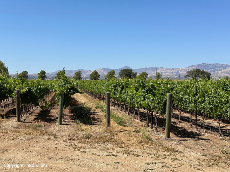 Santa Ynez, California