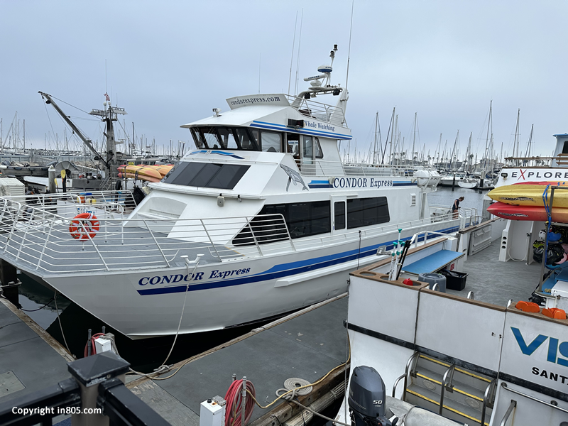 Whale Watching Off Ventura and Santa Barbara Coast