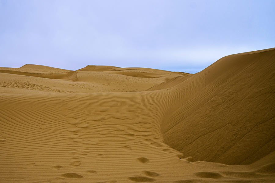 Oceano Dunes Near Pismo Beach