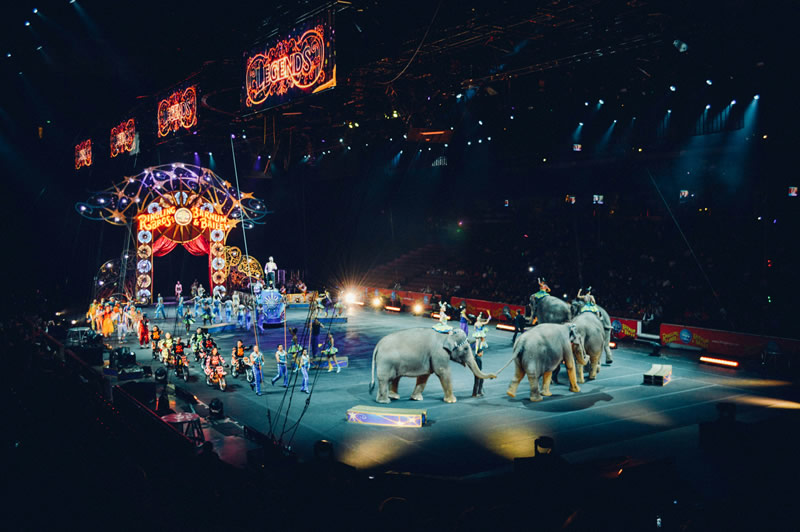Circus Vargas Coming to San Luis Obispo