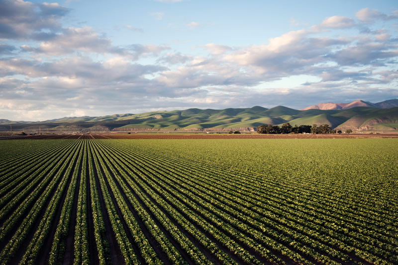 Arroyo Grande, California