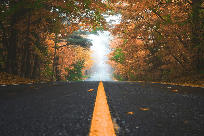 Best Places to See Fall Colors in Ventura, Santa Barbara & SLO Counties