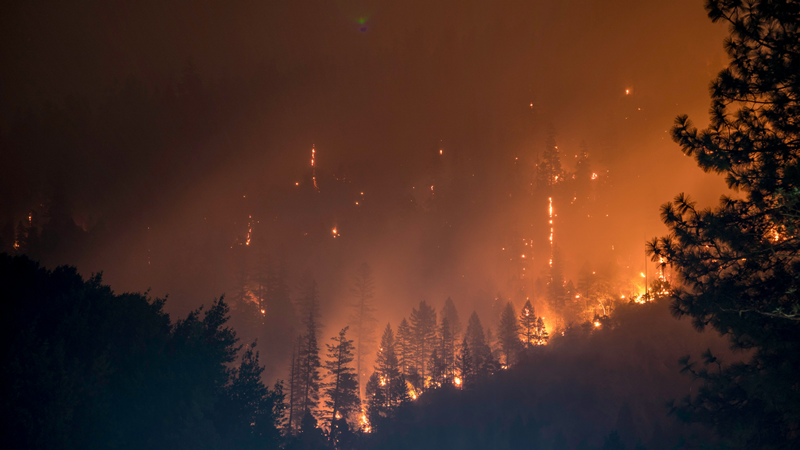 Forest Fire Season in California