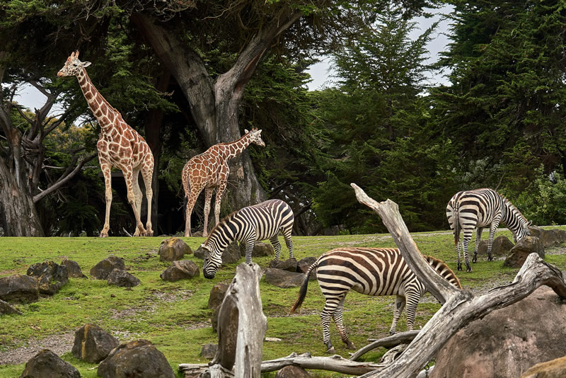 Santa Barbara Zoo